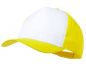 sapca_sodel_baseball